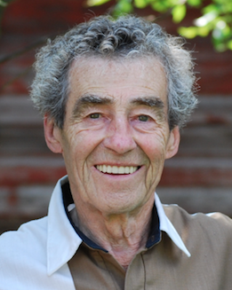 ALBERT SARNA